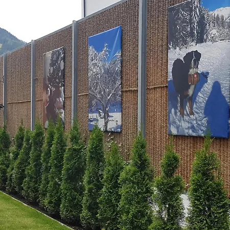 Neva S Alpehytte Saalbach-Hinterglemm